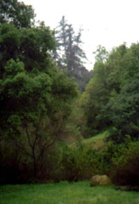 Upper Rice Canyon picture