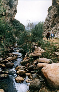 Towsley Canyon Creek