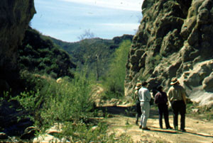 Towsley Canyon picture